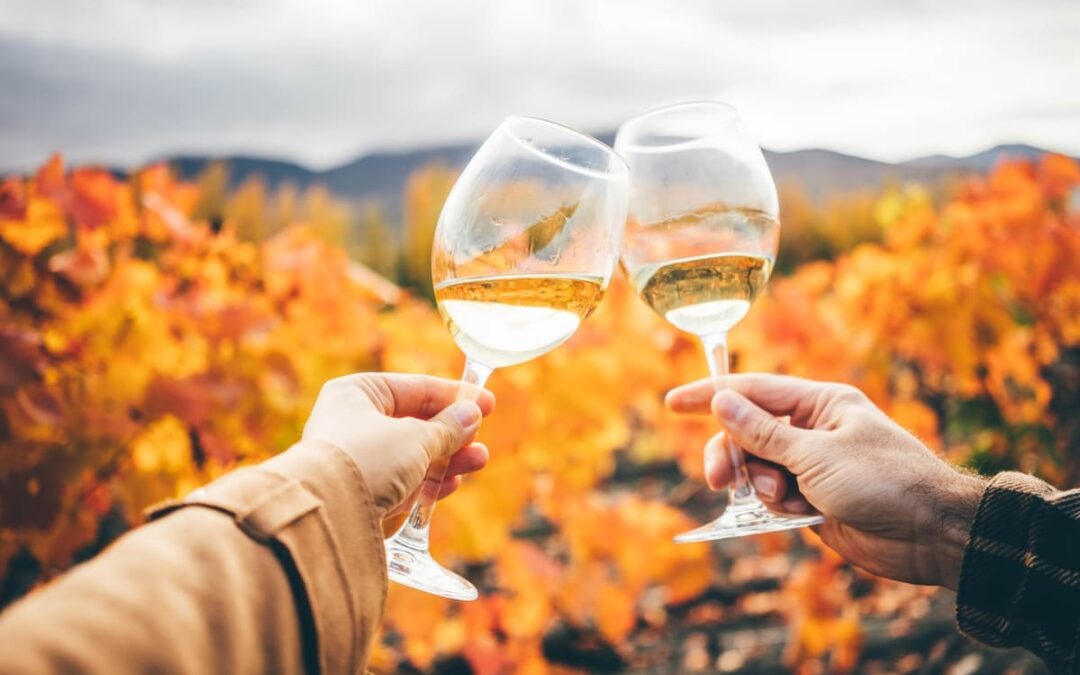 wine glasses held up with fall colors behind