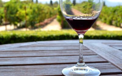 Yountville’s Wine Tasting Passport: Exploring Multiple Wineries in One Trip